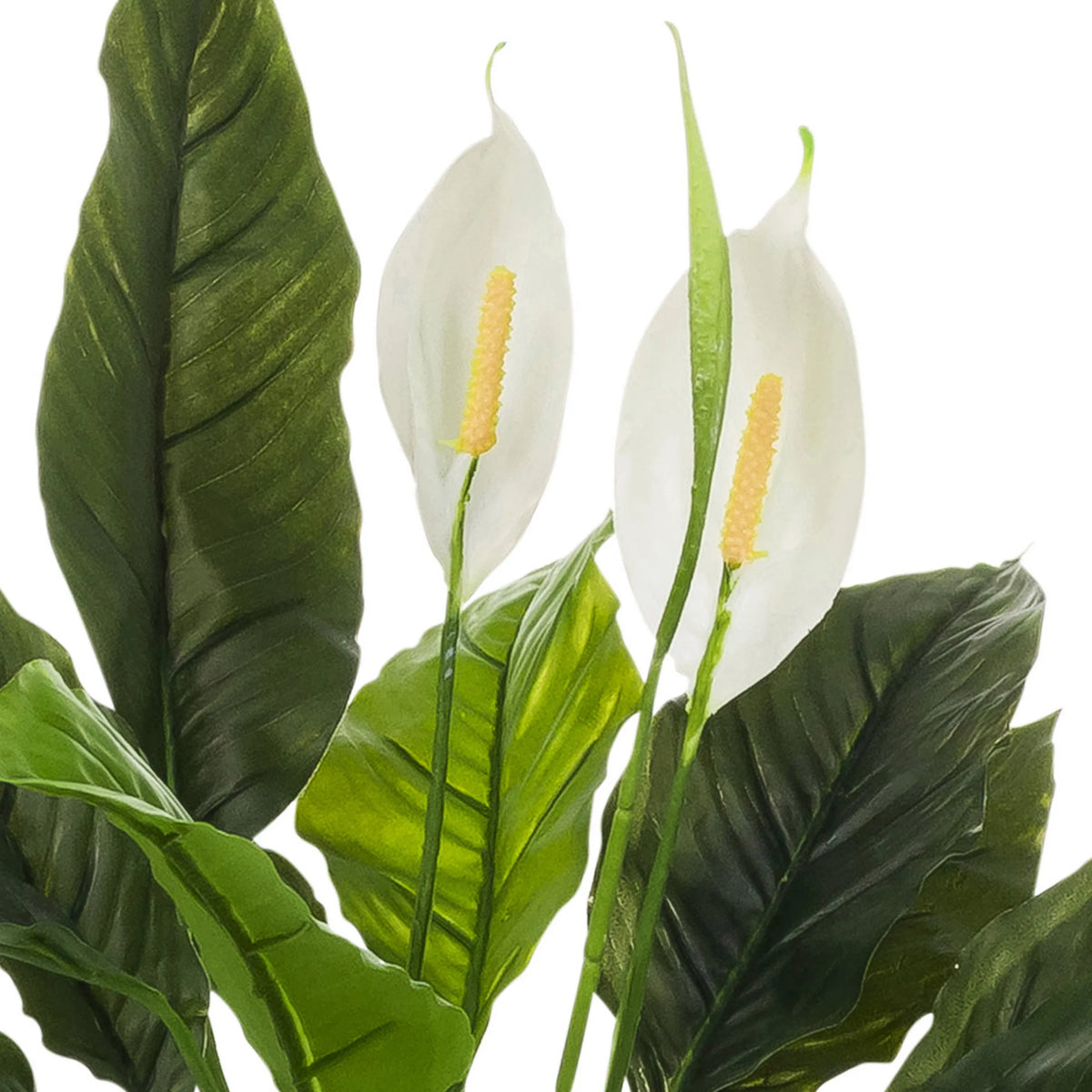 Fleurs blanches et feuilles vertes de la Plante artificielle Spathiphyllum 1 de hjh OFFICE