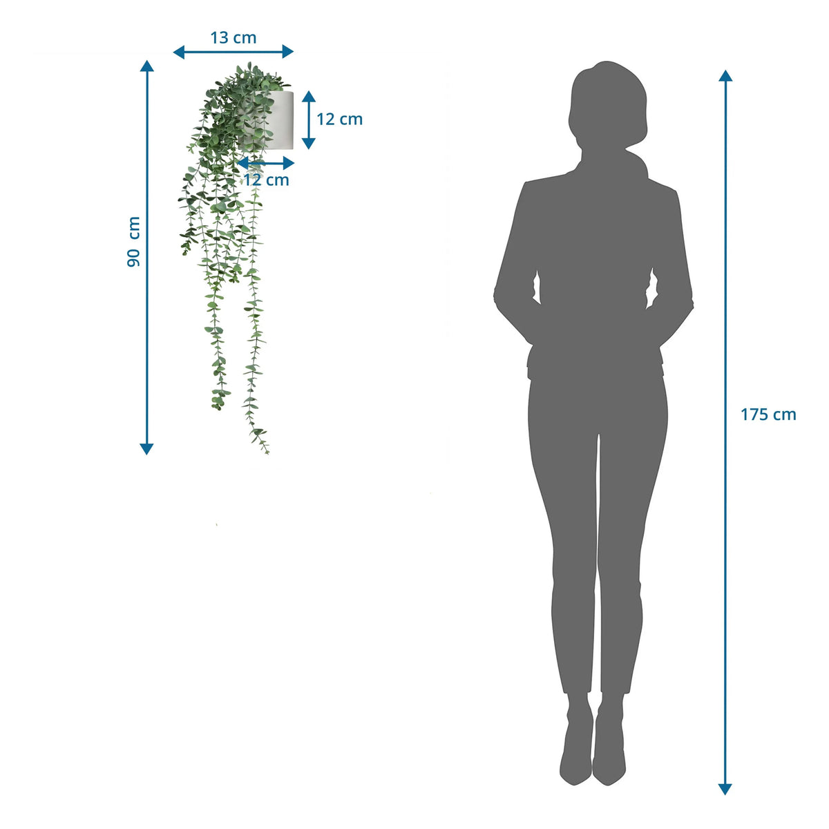 Dessin dimensionnel de la Plante artificielle EUCALYPTUS CLIMB d'une hauteur totale de 90 cm de hjh OFFICE