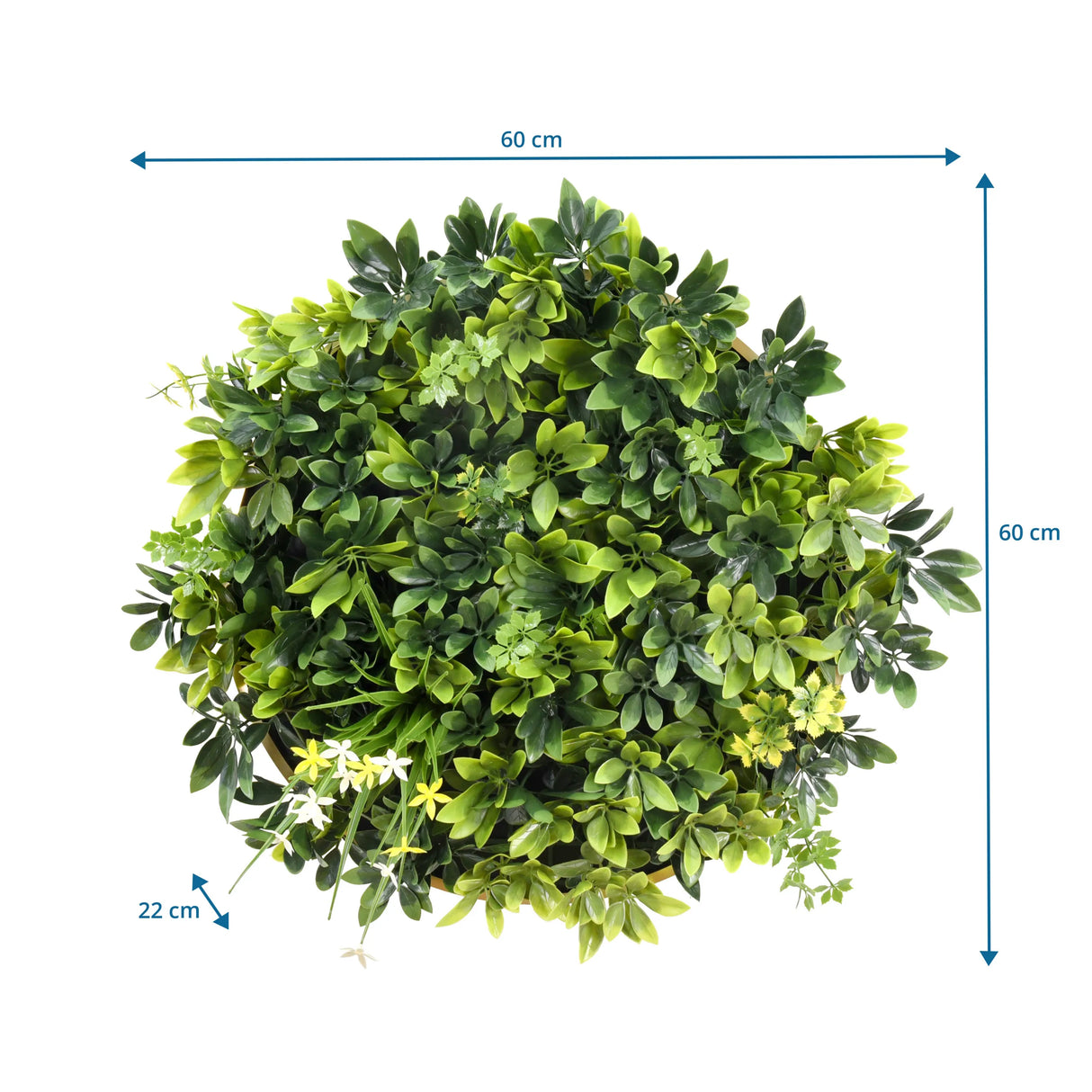 Maßzeichnung der Pflanzenmatte LEAFLUXE WALL 2 mit 60 × 60 cm und einer Tiefe von 22 cm von hjh LIVING