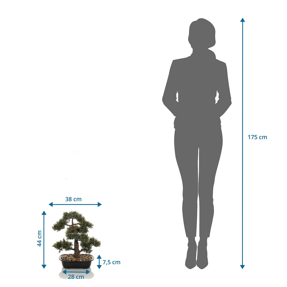 Vue dimensionnelle de la Plante artificielle BONSAI d'une hauteur de 44 cm comparée à une personne de hjh OFFICE