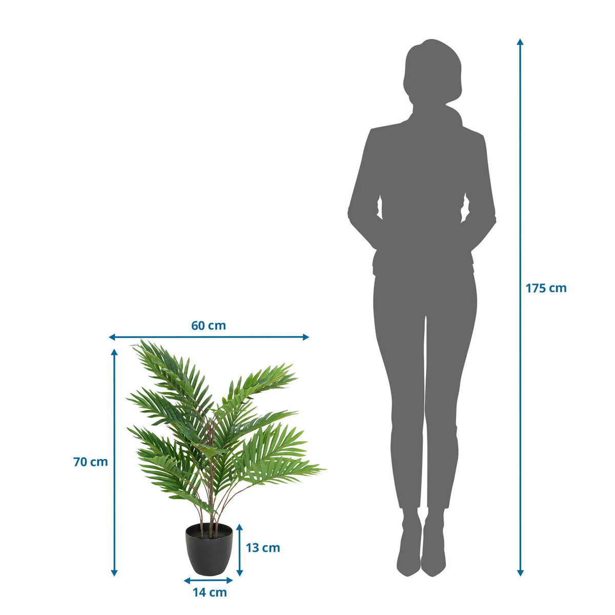 Dessin technique de la Plante artificielle ARECA d'une hauteur de 70 cm et d'une largeur de 60 cm de hjh OFFICE