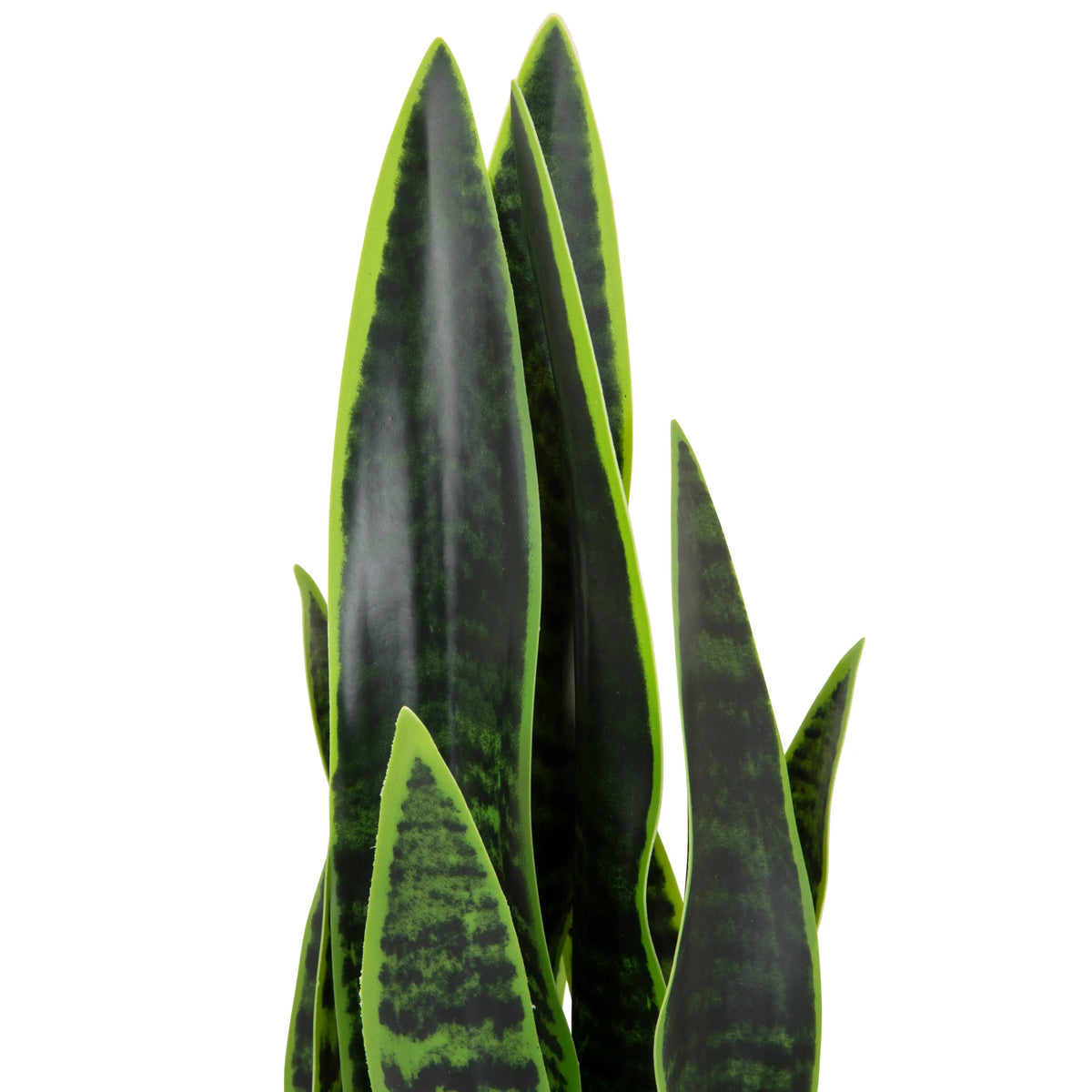 Feuilles vertes de la plante artificielle SANSEVIERIA avec des motifs vert foncé de hjh OFFICE