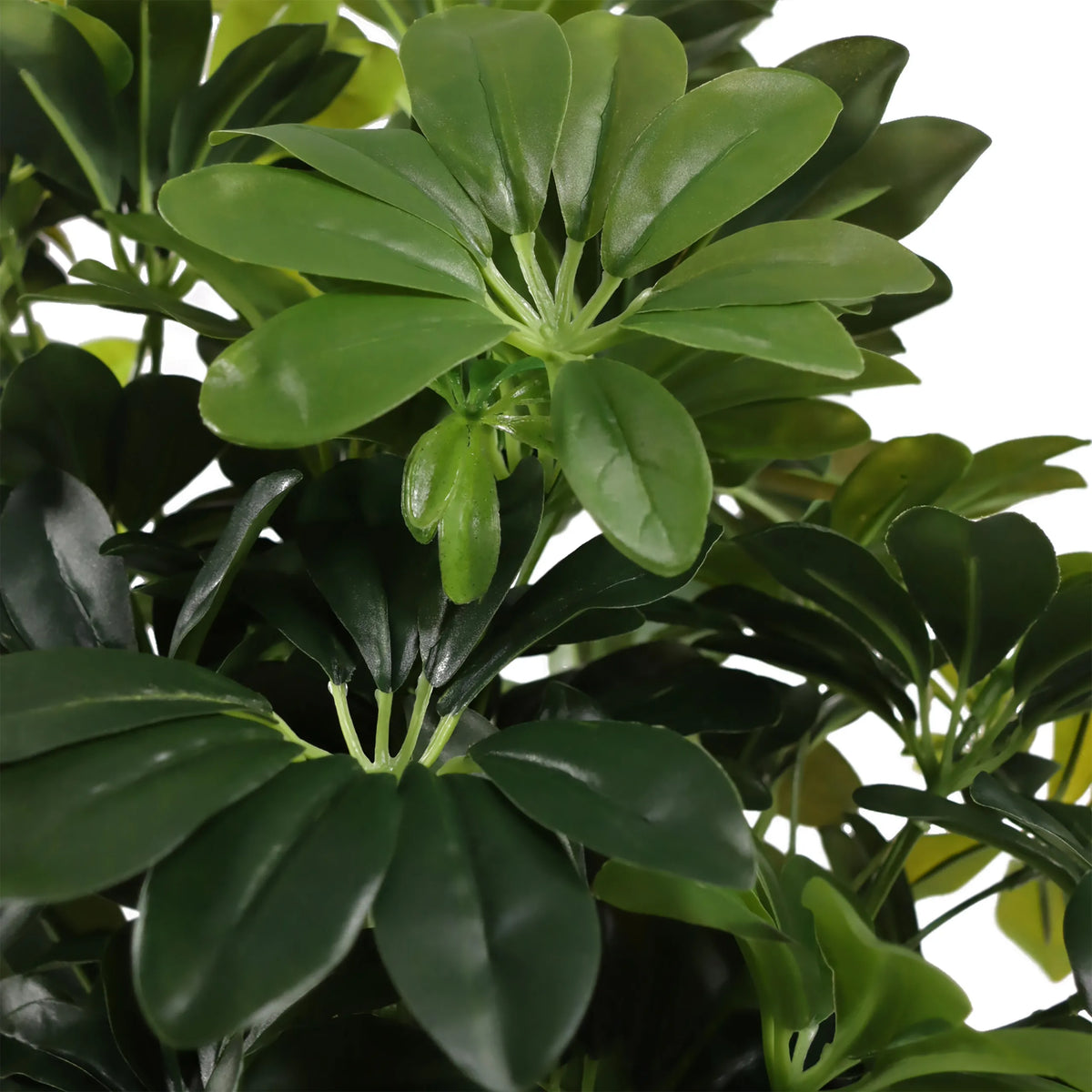 Feuilles vertes de la plante artificielle Schefflera 2 de hjh OFFICE