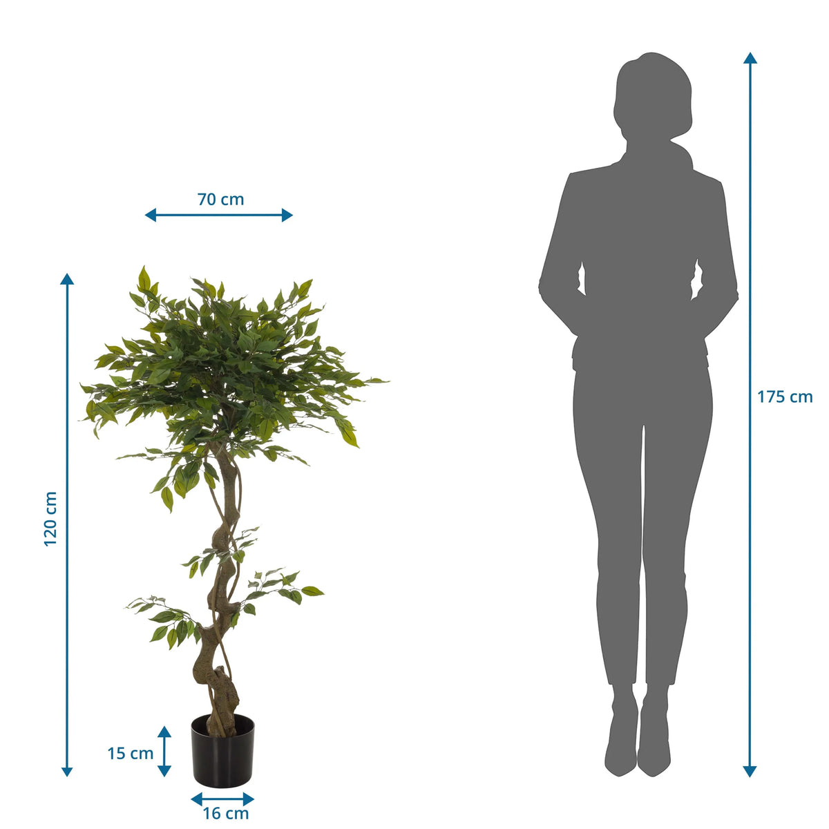 Vue dimensionnelle de la Plante artificielle FICUS I d'une hauteur de 120 cm et d'une largeur de 70 cm de hjh OFFICE