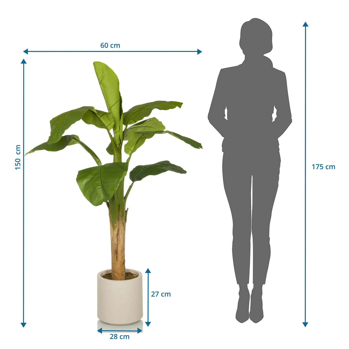 Dessin coté de la Plante artificielle BANANE I d'une hauteur de 150 cm et d'une largeur de 60 cm de hjh OFFICE