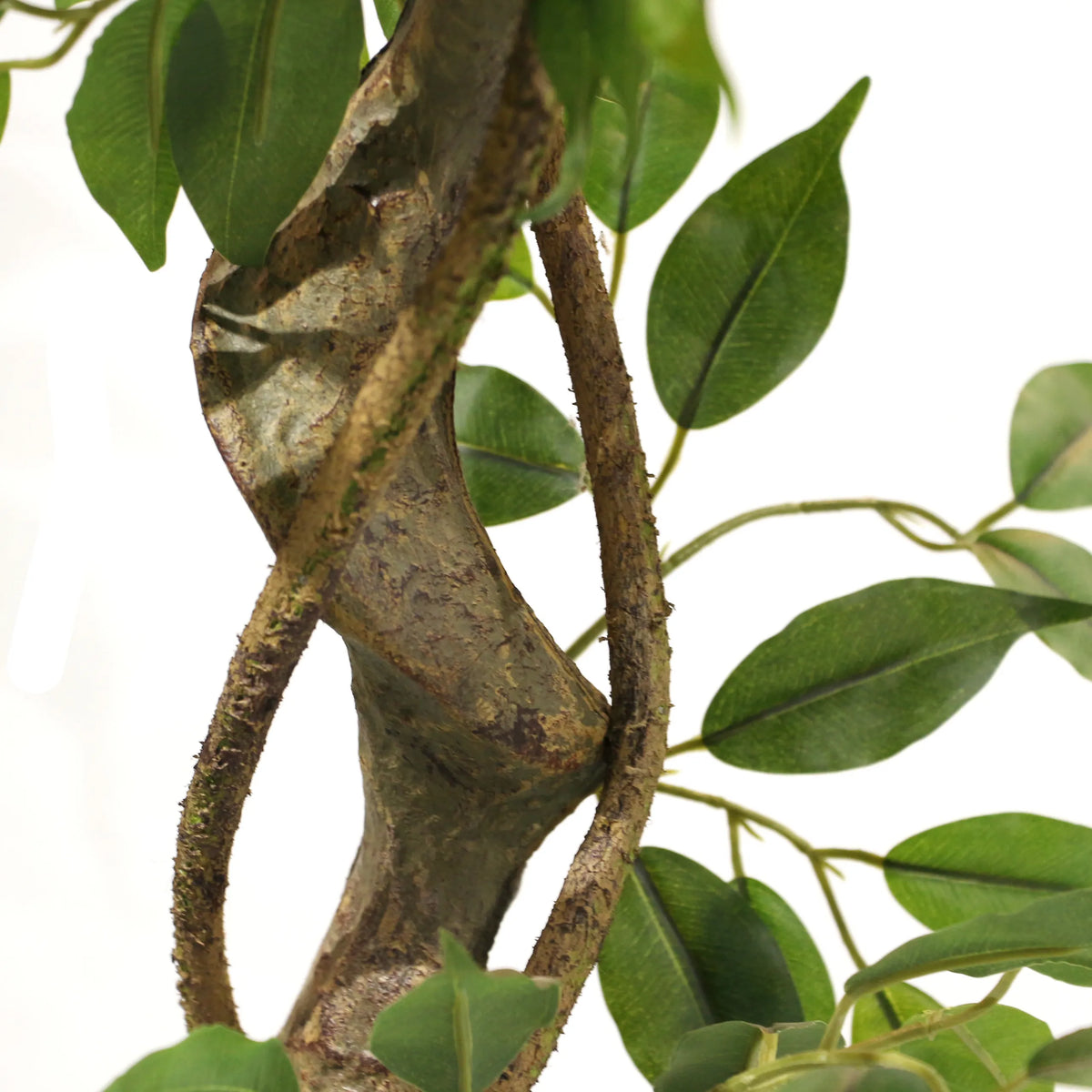 Tige brune structurée avec des feuilles vertes de la Plante artificielle FICUS I de hjh OFFICE