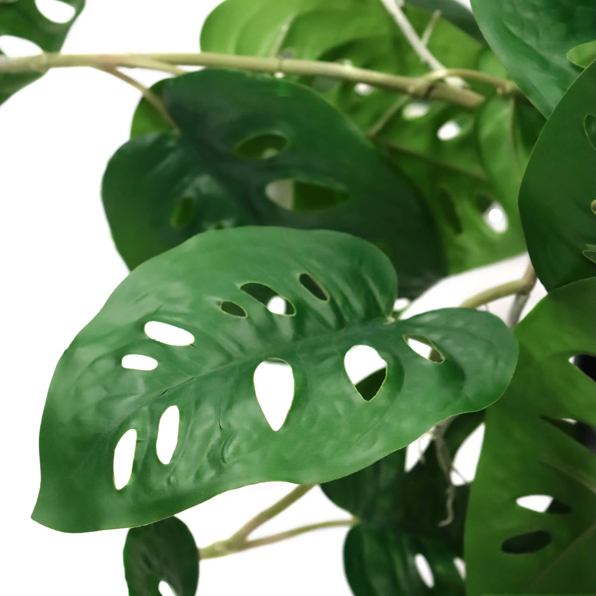 Feuilles vertes de la Plante artificielle MONSTERA CLIMB avec des trous caractéristiques de hjh OFFICE