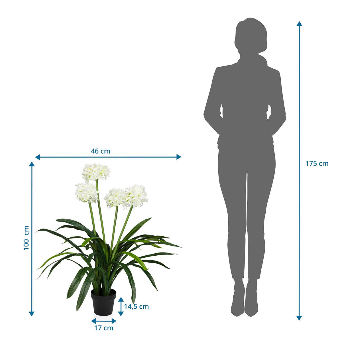 Dessin coté de la Plante artificielle AGAPANTHUS avec une hauteur de 100 cm et une largeur de 46 cm de hjh OFFICE
