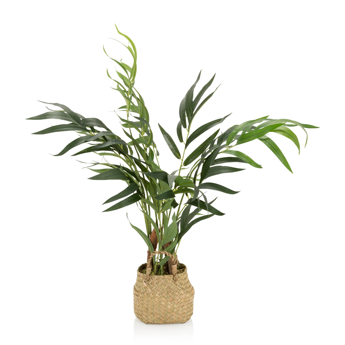 Plante artificielle verte CHAMAEDOREA dans un cache-pot tressé en matières naturelles de hjh OFFICE – vue à 360° (vue de profil 90°)