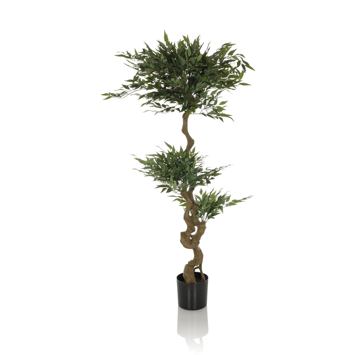 Plante artificielle verte ACACIA avec tronc torsadé dans un pot noir de hjh OFFICE – vue à 360° (vue de face 0°)