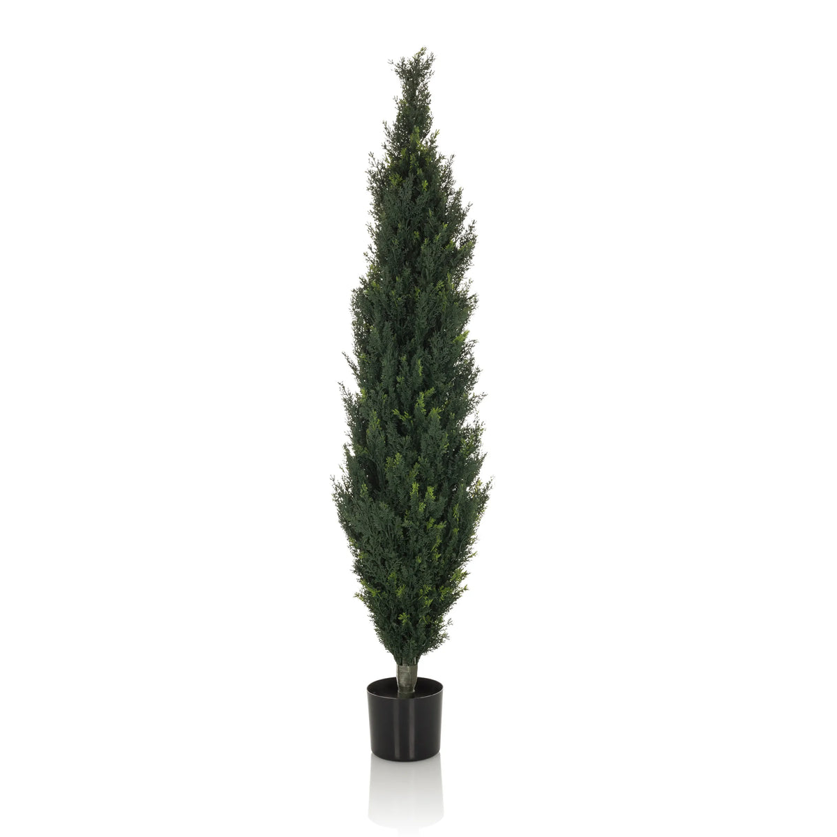 Plante artificielle verte CEDRUS en forme de cyprès haut avec un pot noir de hjh OFFICE – vue à 360° (vue de face 0°)