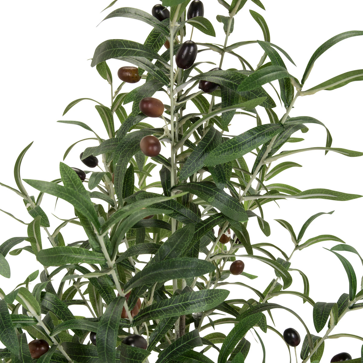 Feuilles et olives sombres de la plante artificielle OLIVE de hjh OFFICE