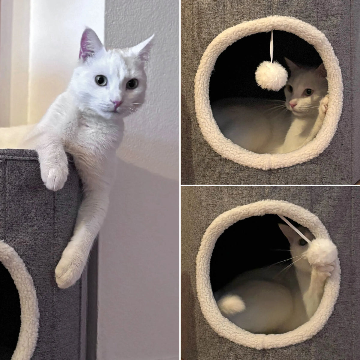 Grotte pour chat PAWY R grise avec doublure intérieure blanche et douce et balle jouet de hjh LIVING