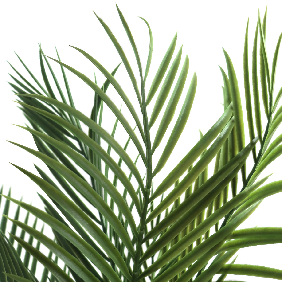 Feuilles vertes de la plante artificielle DRACAENA de hjh OFFICE