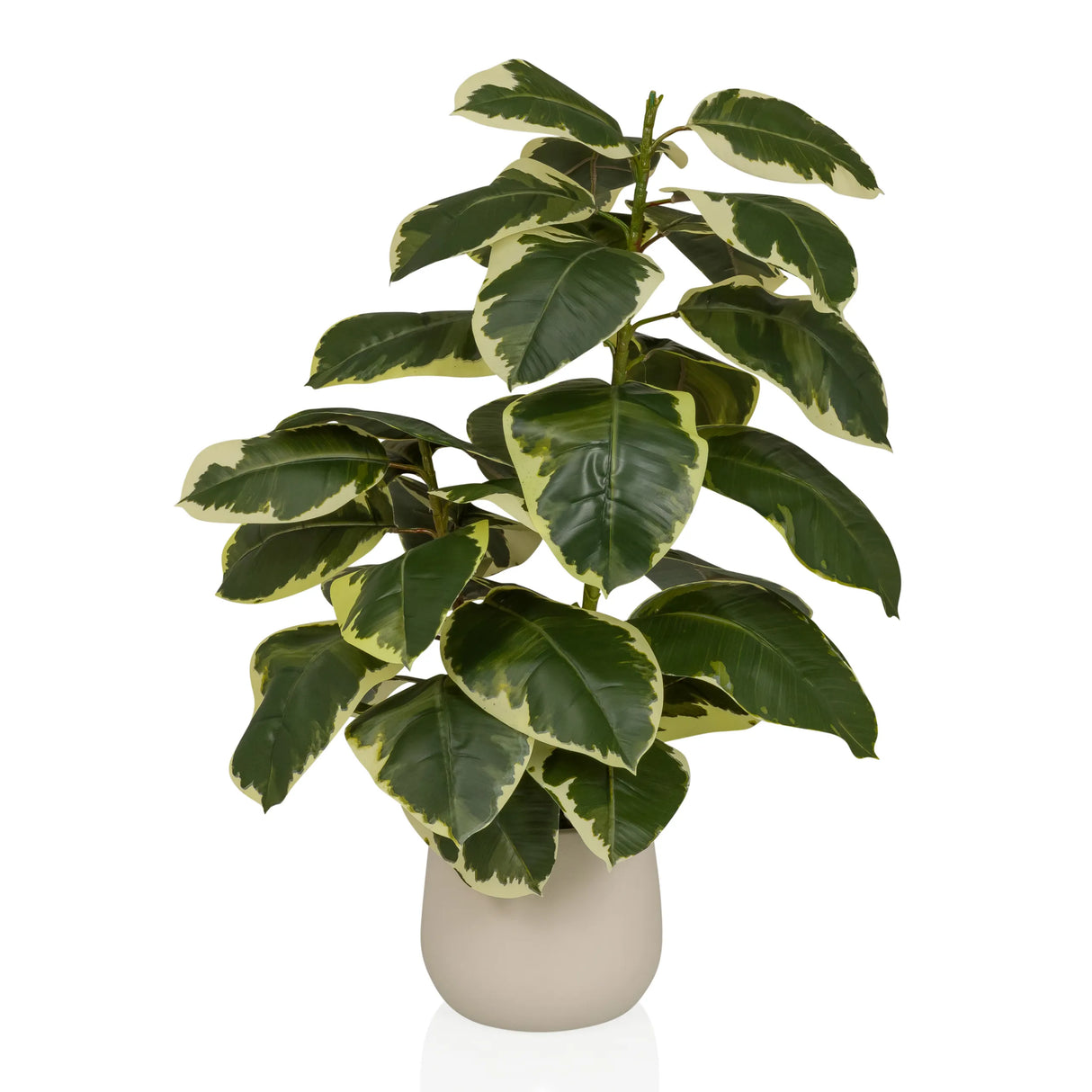 Ficus 3 - Plante artificielle