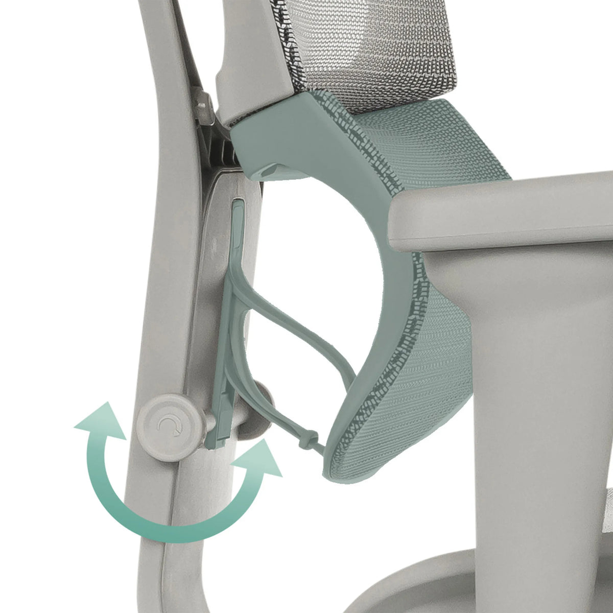 Support lombaire réglable du siège de direction de luxe ERGOHUMAN SLIM ULTRA G GEN2 en gris avec bouton rotatif de hjh OFFICE