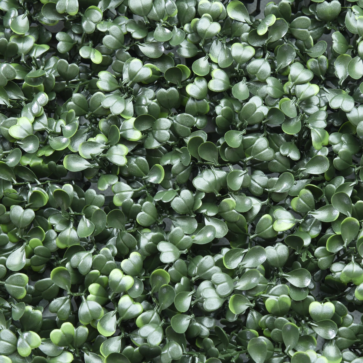 Feuilles vertes du Tapis végétal LEAFLUXE 1 de hjh LIVING