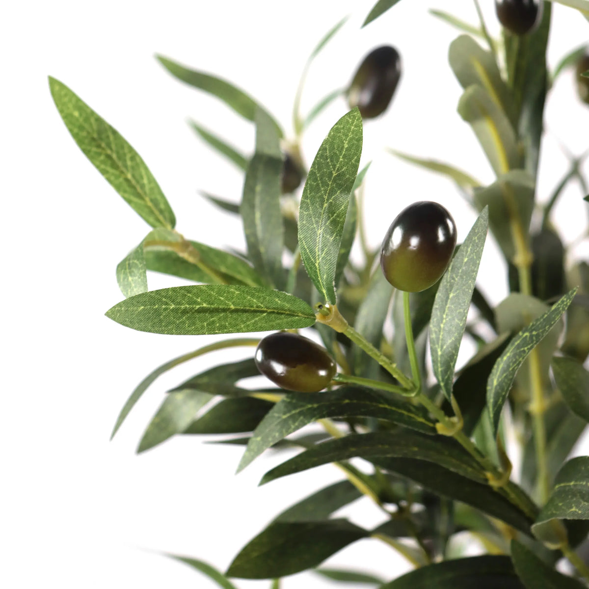 Feuilles vertes et olives sombres de la Plante artificielle OLIVE I de hjh OFFICE
