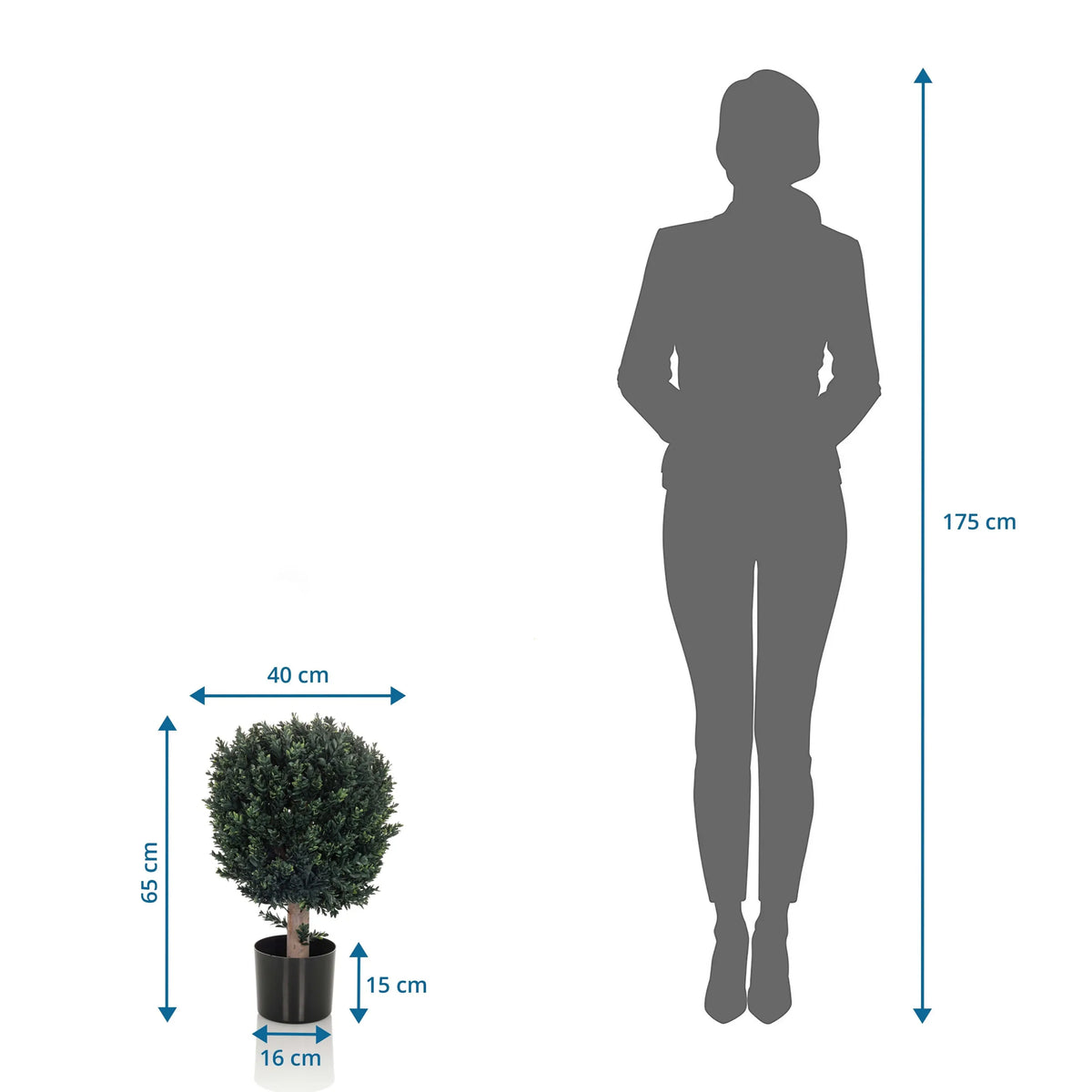Vue dimensionnelle de la Plante artificielle BUXUS d'une hauteur de 65 cm comparée à une personne de hjh OFFICE