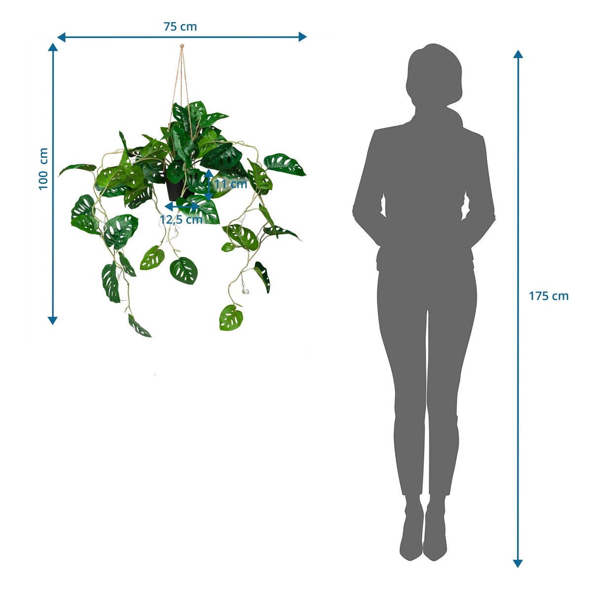 Dessin coté de la plante artificielle MONSTERA CLIMB avec une hauteur totale de 100 cm de hjh OFFICE