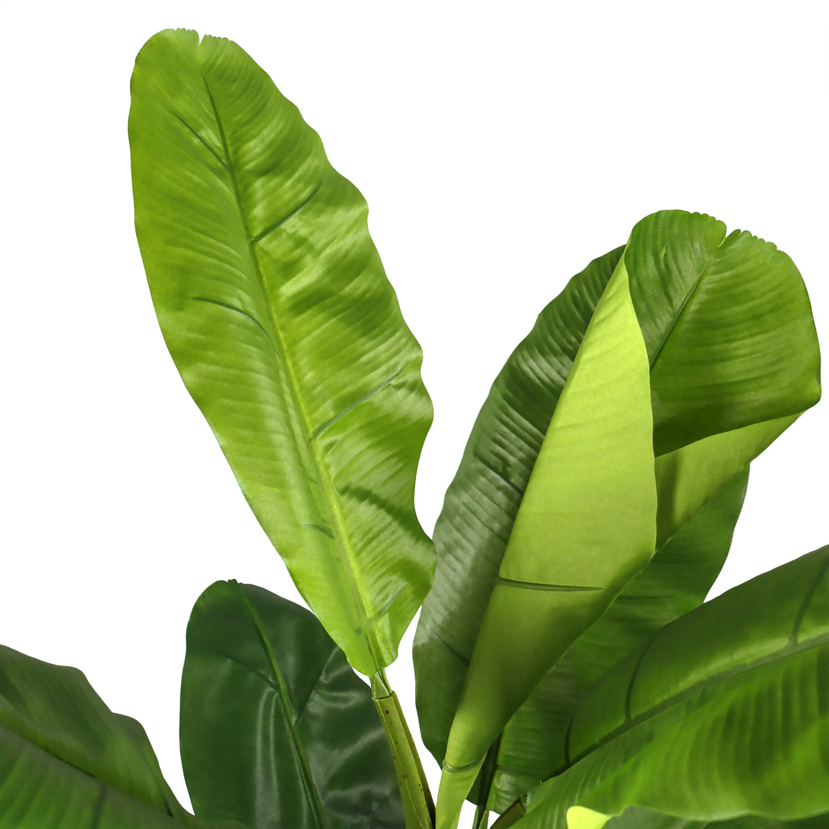 Feuilles vertes de la Plante artificielle BANANE I de hjh OFFICE