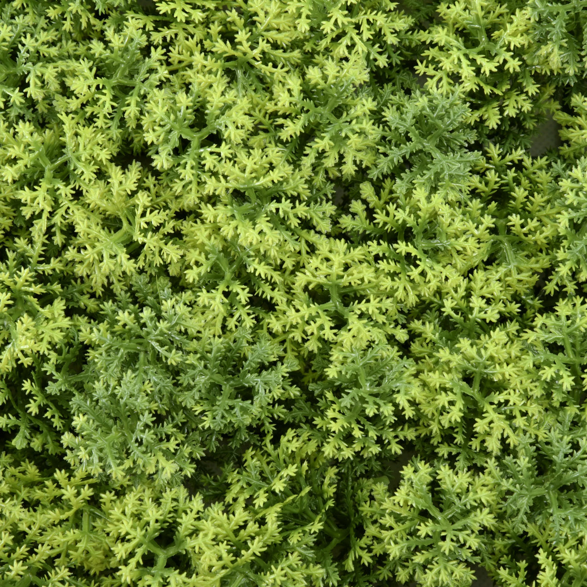 Texture verte du Tapis végétal LEAFLUXE 3 de hjh LIVING