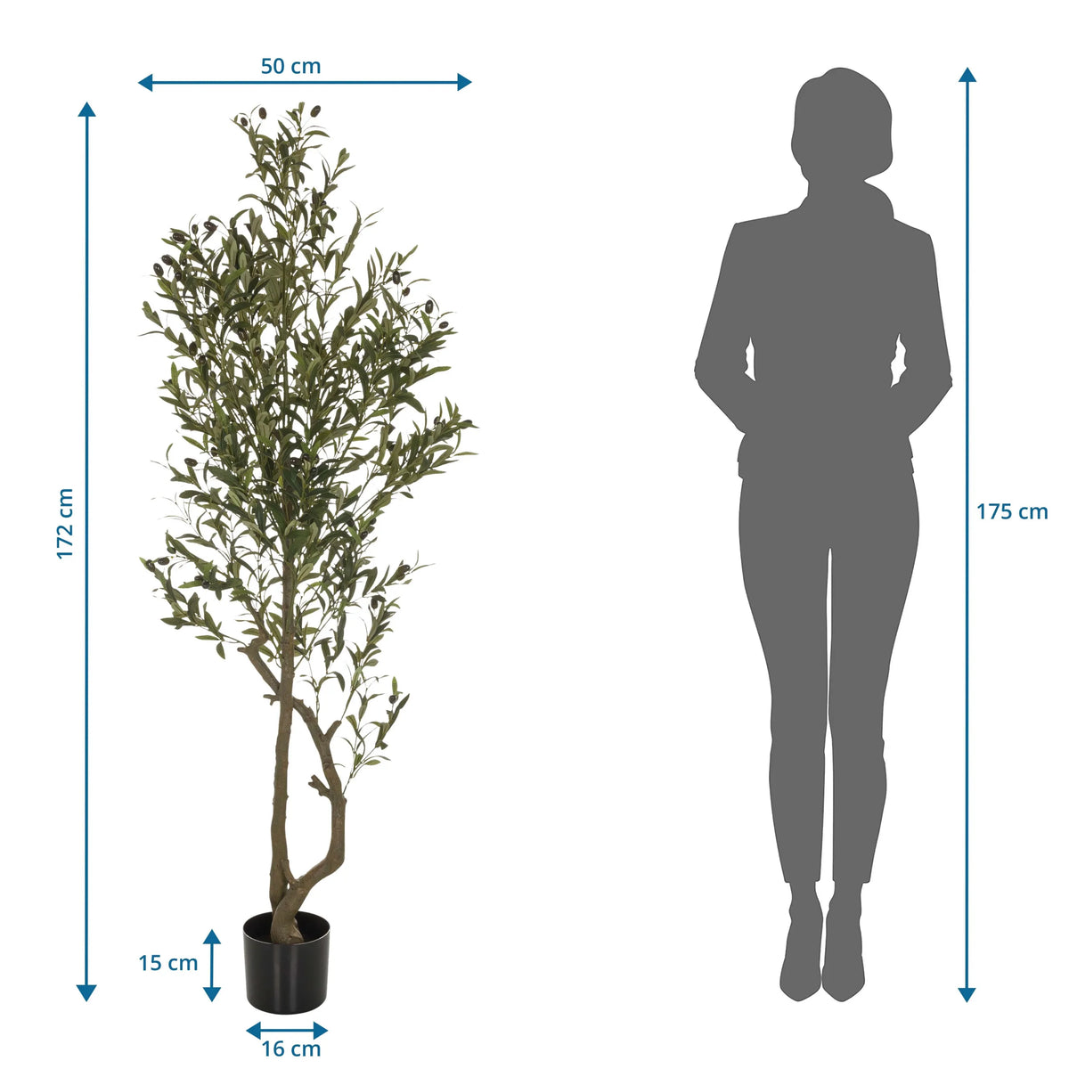 Dessin technique de la Plante artificielle OLIVE I d'une hauteur de 172 cm de hjh OFFICE