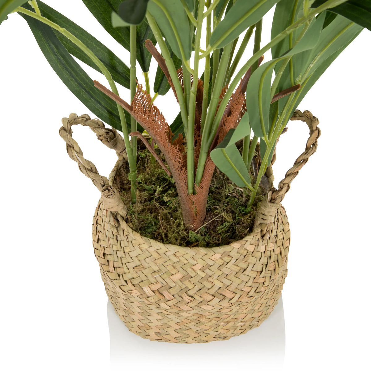 Panier tressé avec des feuilles vertes de la Plante artificielle CHAMAEDOREA de hjh OFFICE