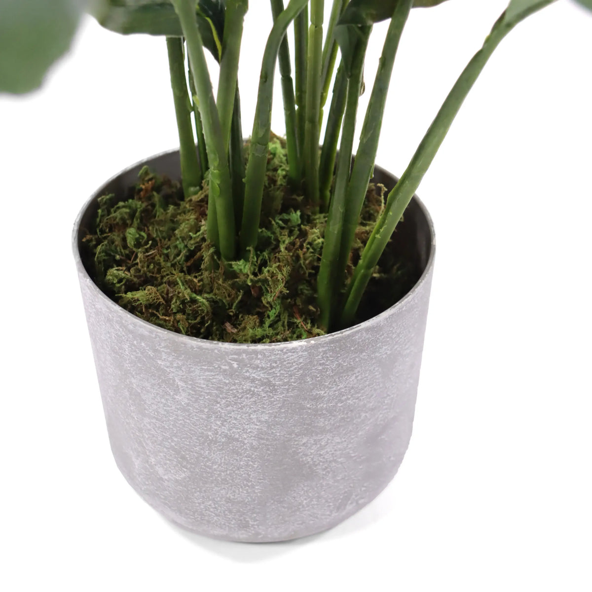 Pot de fleurs gris avec mousse verte de la plante artificielle Spathiphyllum 1 de hjh OFFICE