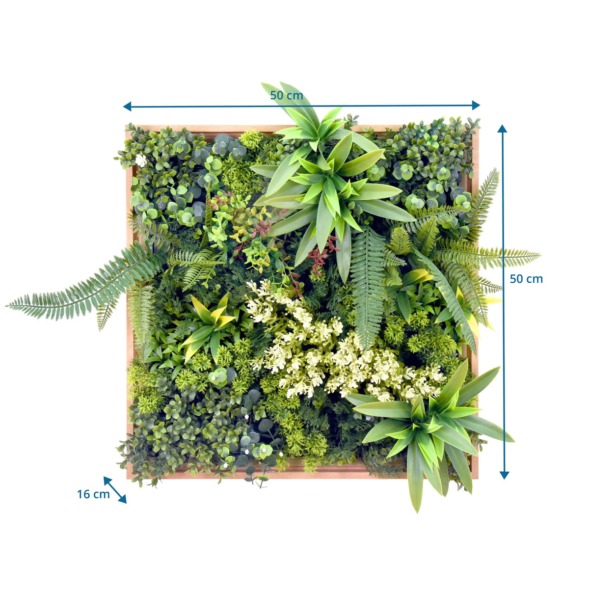 Dessin coté du Tapis végétal LEAFLUXE WALL 1 avec 50 × 50 cm et 16 cm de profondeur de hjh LIVING