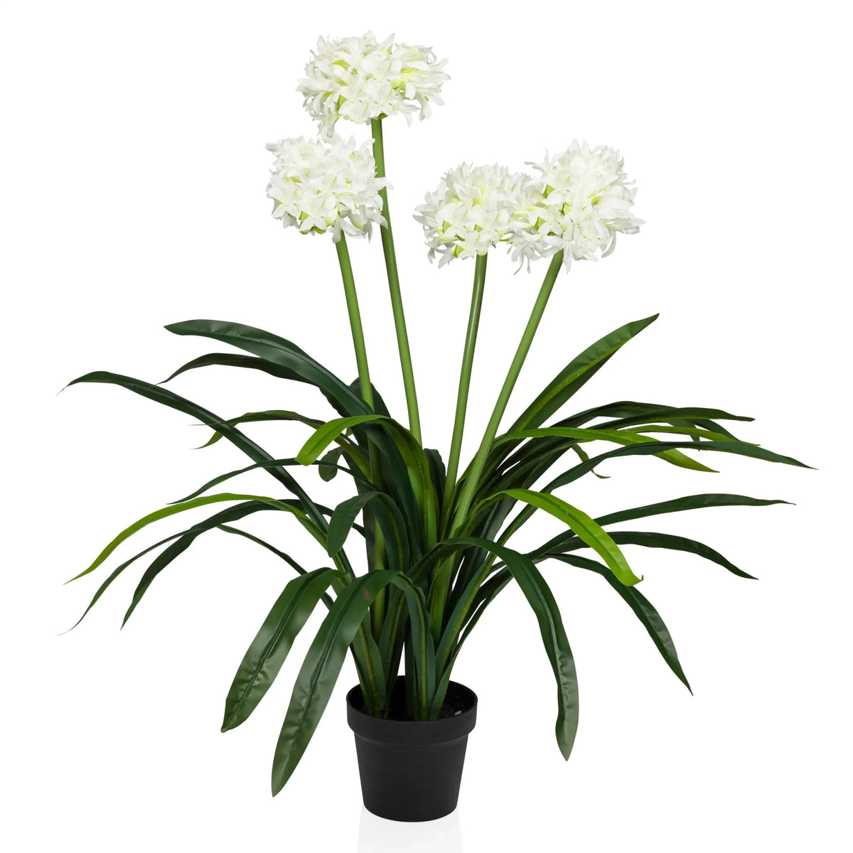 Plante artificielle AGAPANTHUS avec fleurs blanches, feuilles vertes et pot noir de hjh OFFICE