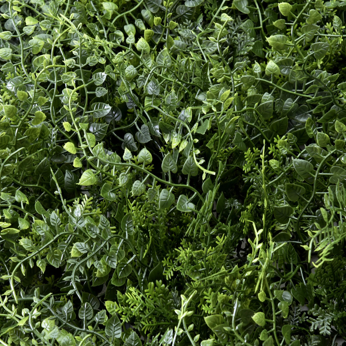 Feuilles vertes du tapis végétal LEAFLUXE 2 de hjh LIVING