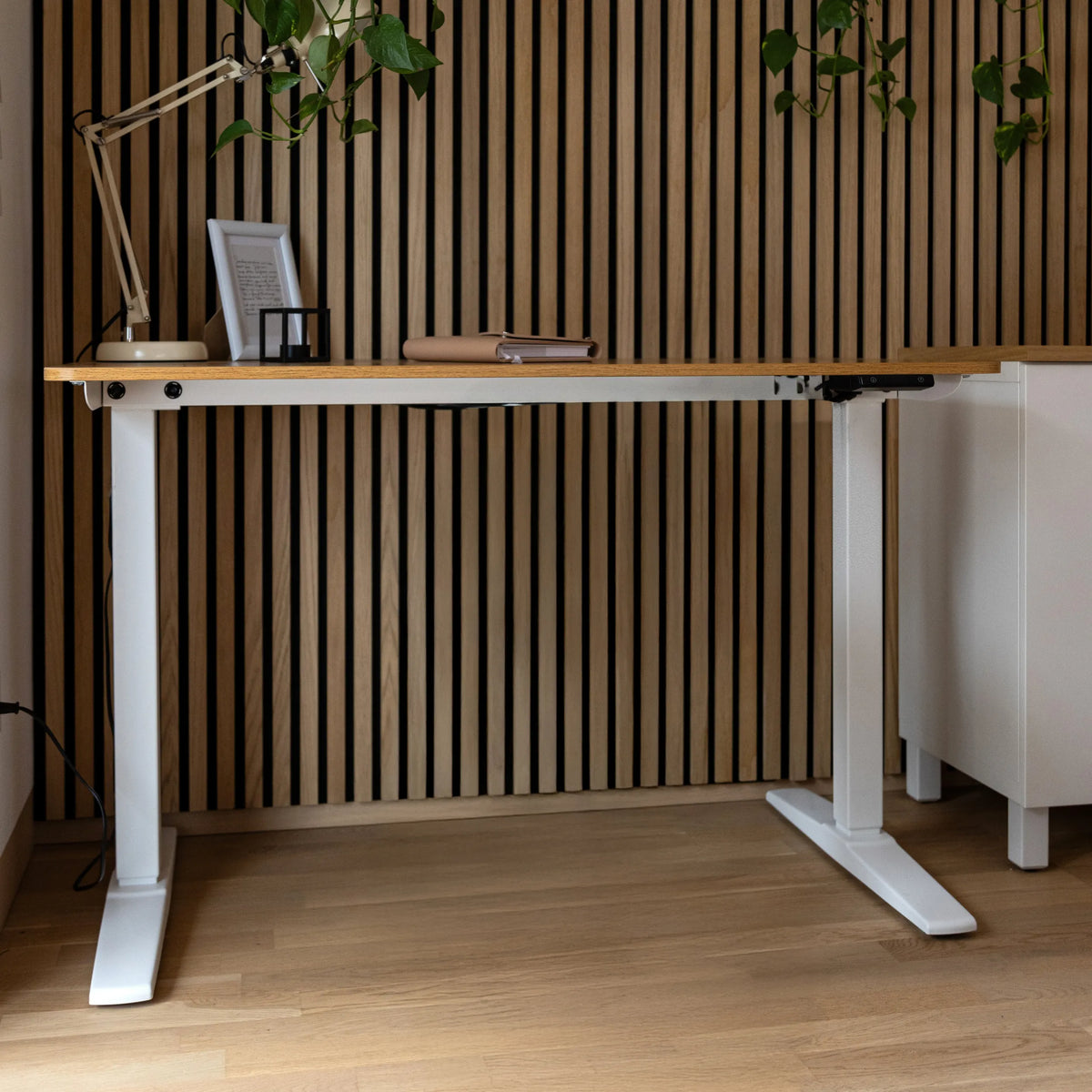 Bureau réglable en hauteur électriquement STAND BASIC en blanc et chêne avec deux pieds de hjh OFFICE