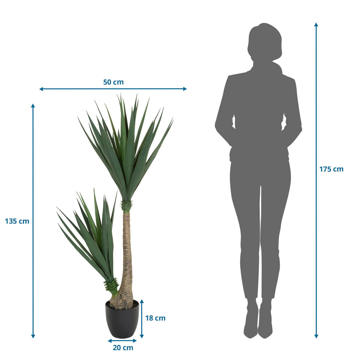Dessin dimensionnel de la Plante artificielle YUCCA d'une hauteur de 135 cm et d'une largeur de 50 cm de hjh OFFICE