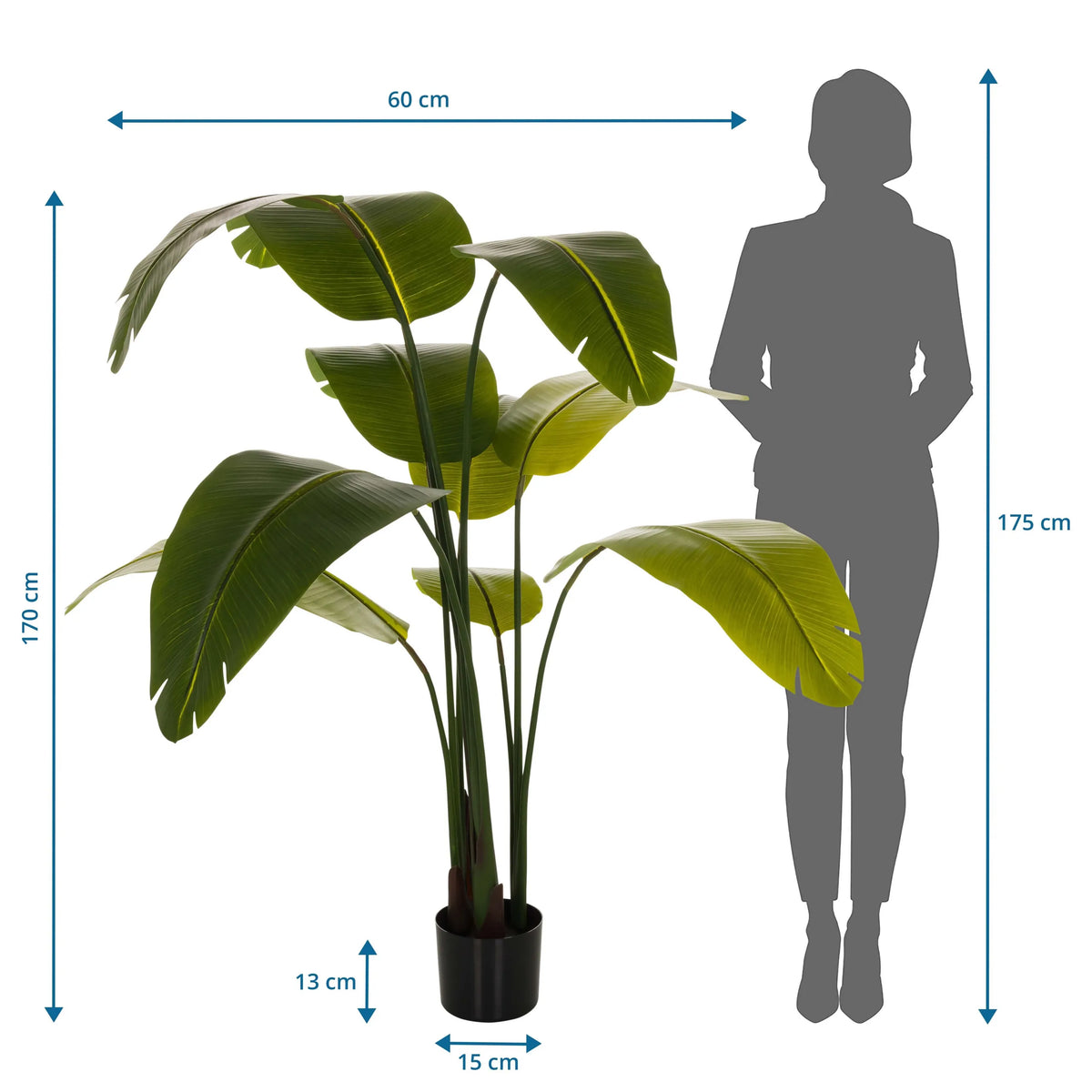 Dessin coté de la Plante artificielle BANANE d'une hauteur de 170 cm et d'une largeur de 60 cm de hjh OFFICE