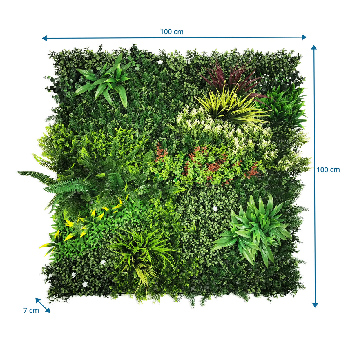Dessin coté du Tapis végétal LEAFLUXE 3D de 100 × 100 × 7 cm de hjh LIVING