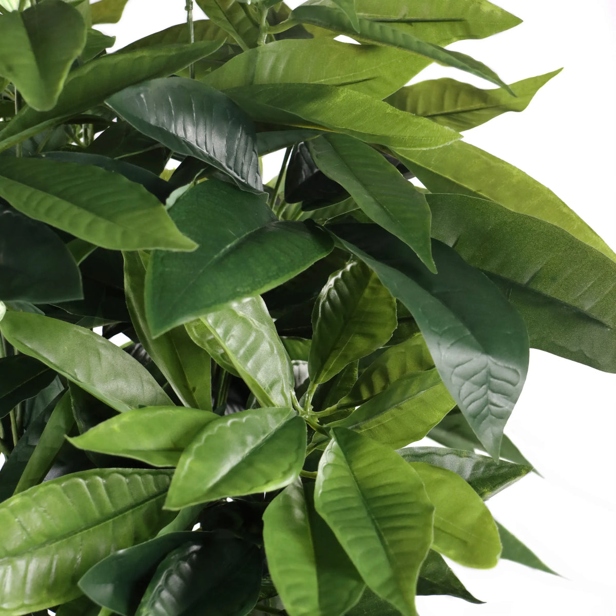 Feuilles vertes de la Plante artificielle PACHIRA de hjh OFFICE