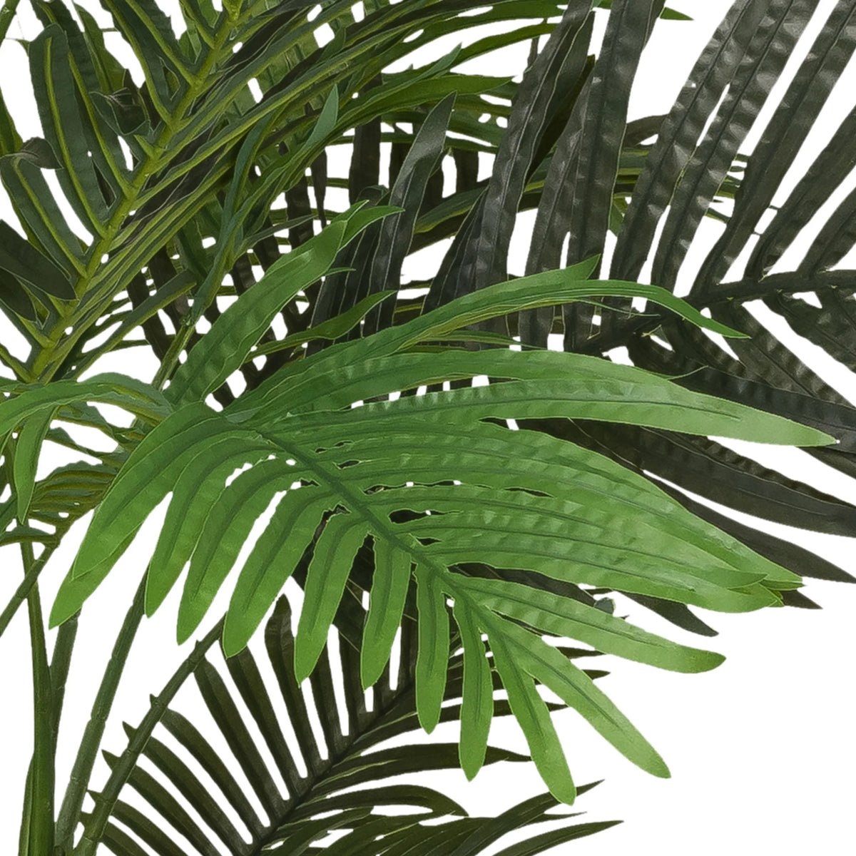 Feuilles vertes de la plante artificielle ARECA II de hjh OFFICE