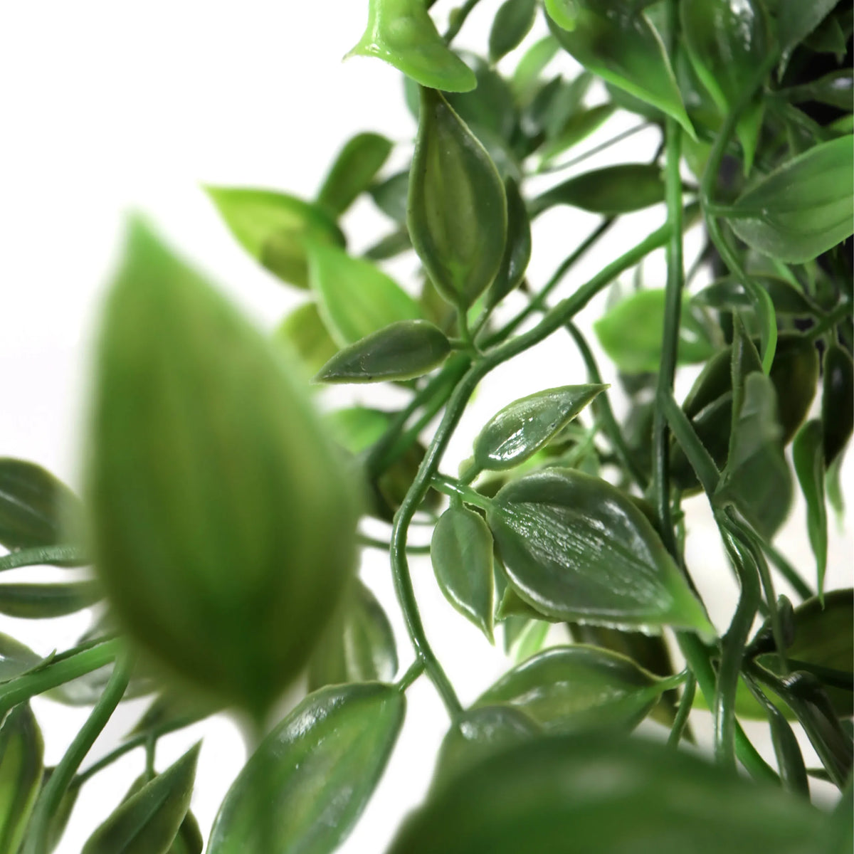 Feuilles vertes de la Plante artificielle Epipremnum Climb de hjh OFFICE