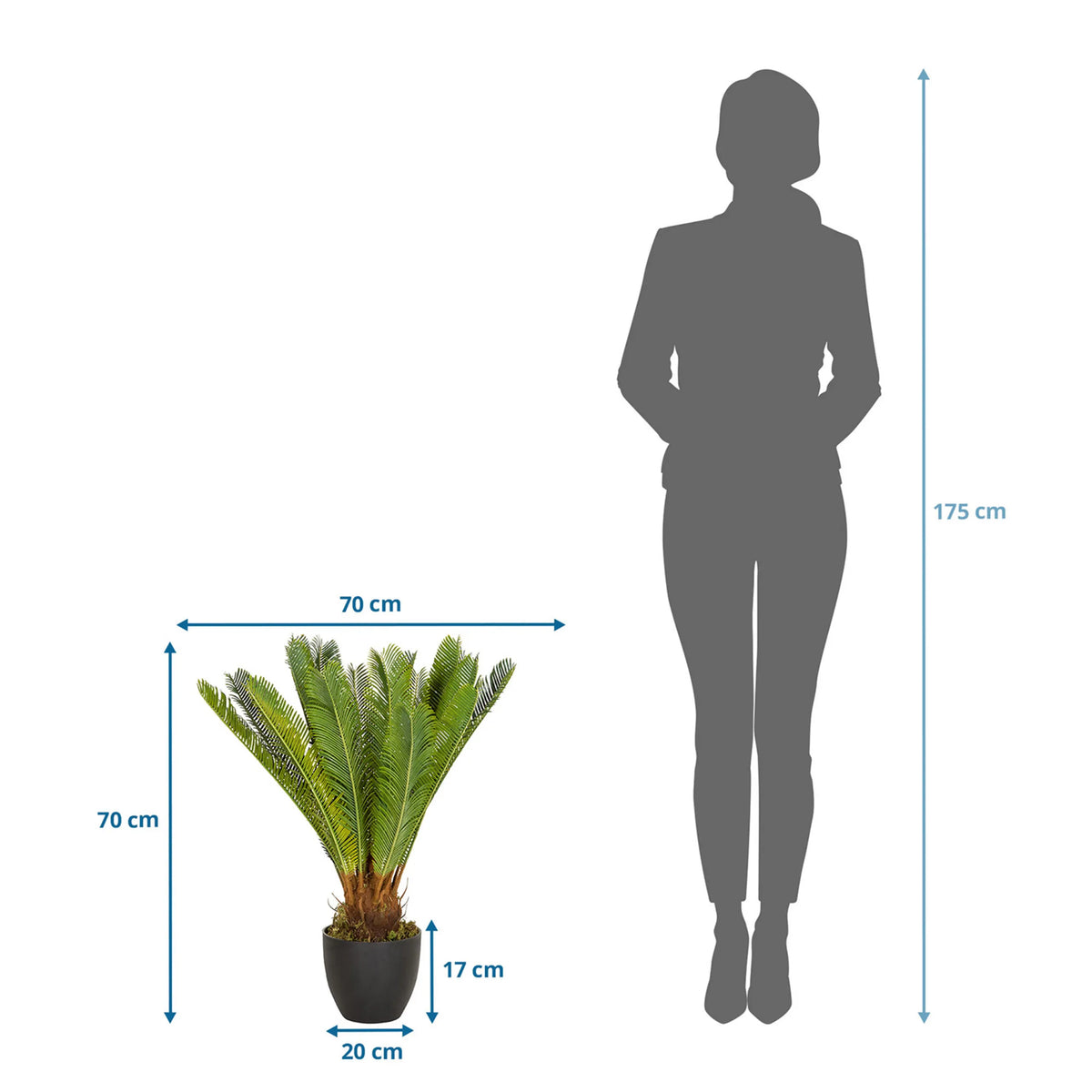 Dessin technique de la Plante artificielle CYCAS avec une hauteur et une largeur de 70 cm chacune de hjh OFFICE