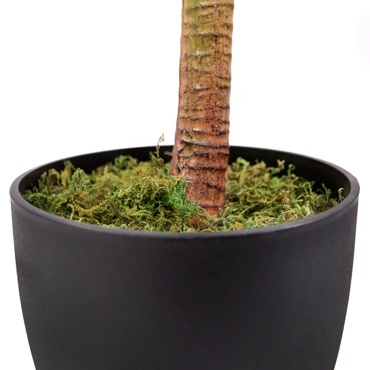 Tronc et pot de fleurs noir avec mousse verte de la plante artificielle DRACAENA I de hjh OFFICE
