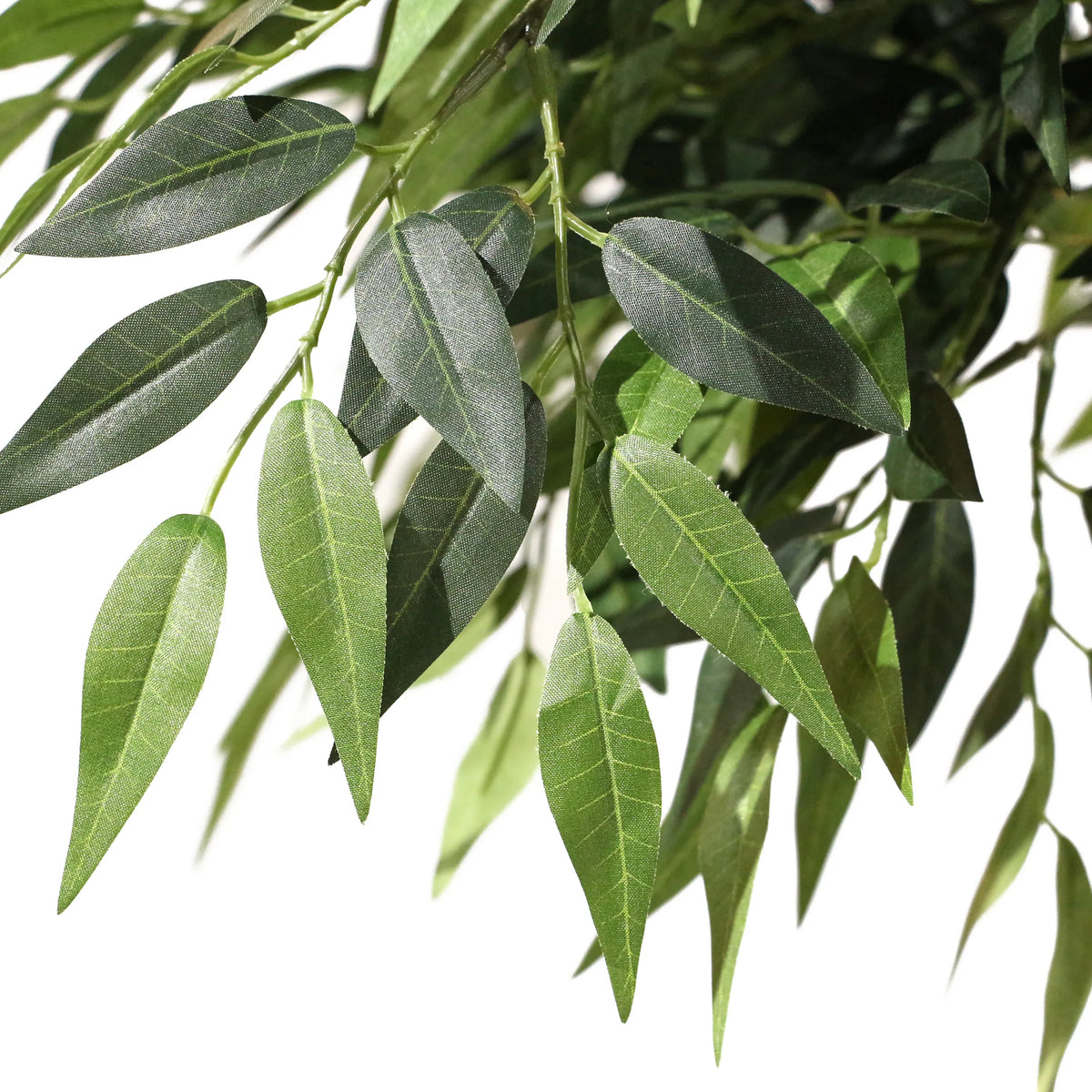 Feuilles vertes de la plante artificielle ACACIA de hjh OFFICE
