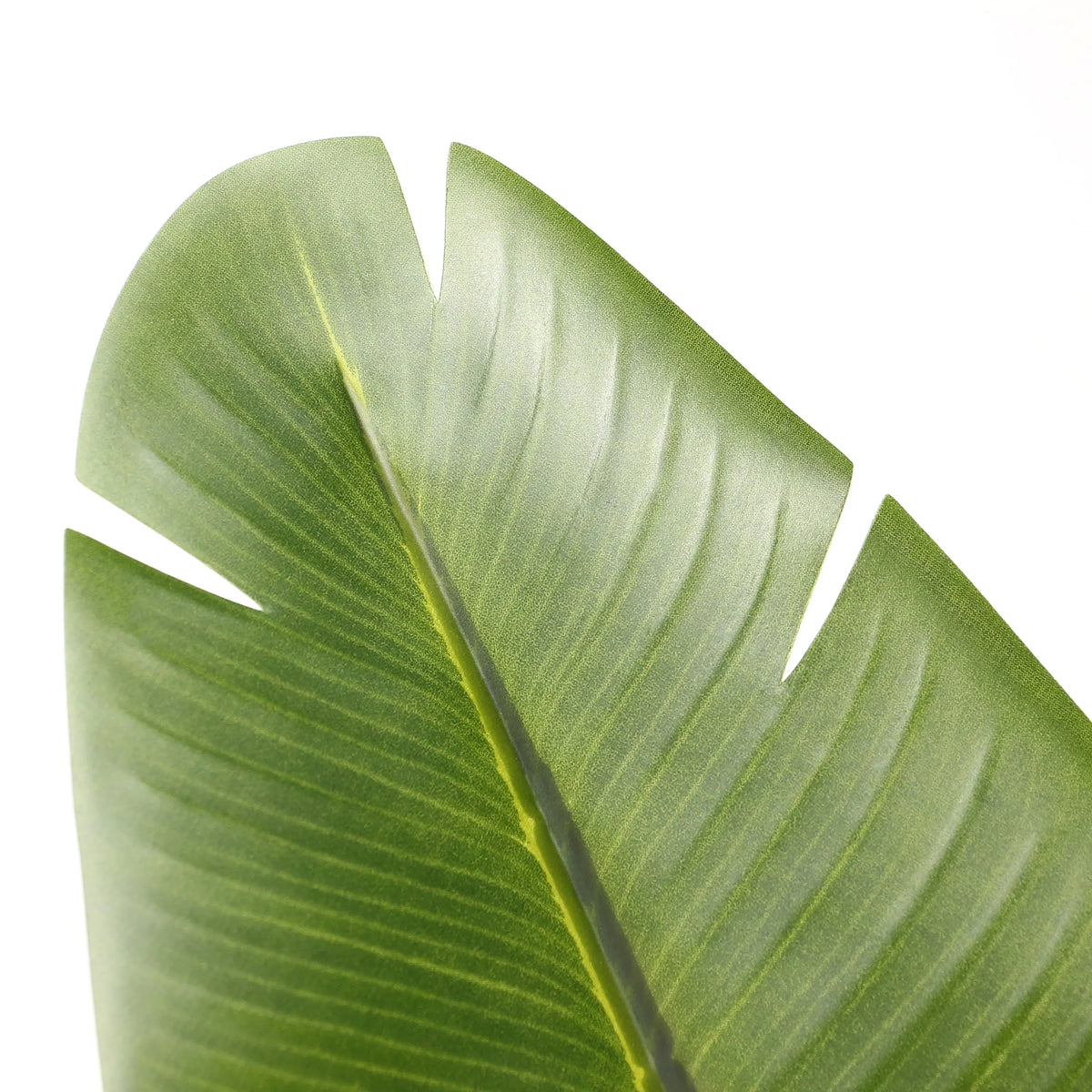Feuille verte de la Plante artificielle BANANE de hjh OFFICE