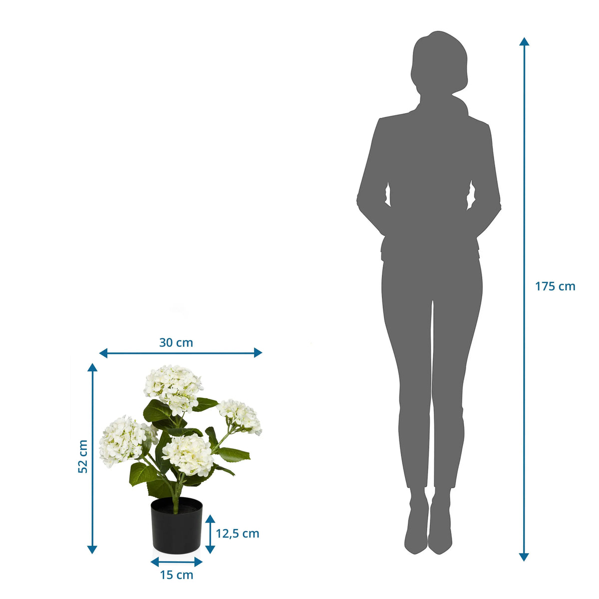 Dessin dimensionnel de la Plante artificielle HYDRANGEA avec une hauteur de 52 cm et une largeur de 30 cm de hjh OFFICE