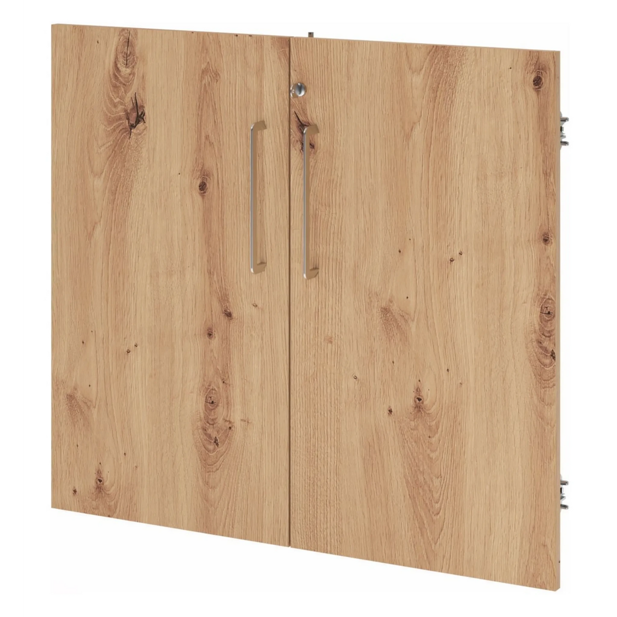 Paire de portes FlexWall aspect chêne frêne avec deux poignées argentées de hjh OFFICE PRO