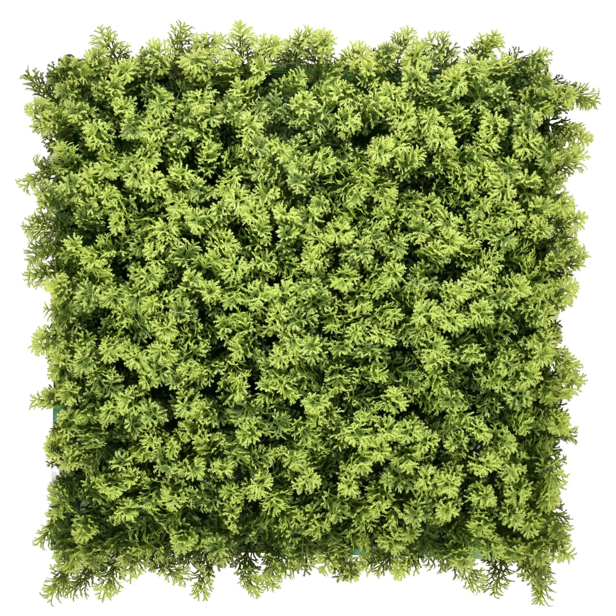 Tapis végétal vert LEAFLUXE 3 au feuillage dense et fin de hjh LIVING