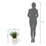 Dessin coté de la Plante artificielle Agave avec 45 cm de hauteur et 40 cm de largeur de hjh OFFICE