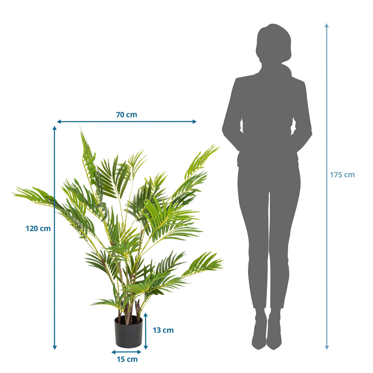 Dessin coté de la Plante artificielle ARECA I d'une hauteur de 120 cm et d'une largeur de 70 cm de hjh OFFICE