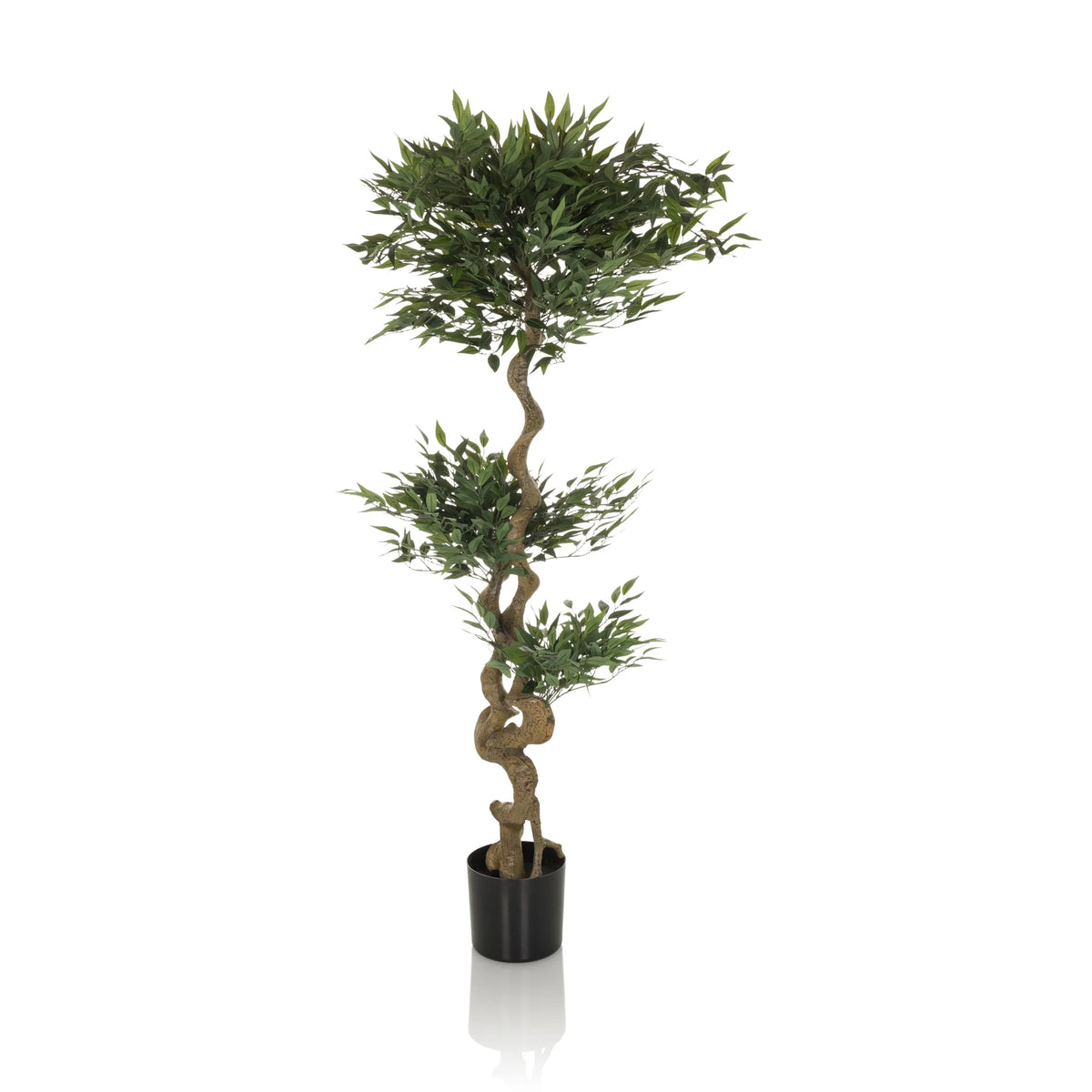 Plante artificielle verte ACACIA avec tronc torsadé dans un pot noir de hjh OFFICE – vue à 360° (vue de profil 90°)