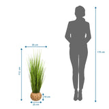Dessin coté de la Plante artificielle CORTADERIA avec une hauteur de 112 cm et une largeur de 30 cm de hjh OFFICE